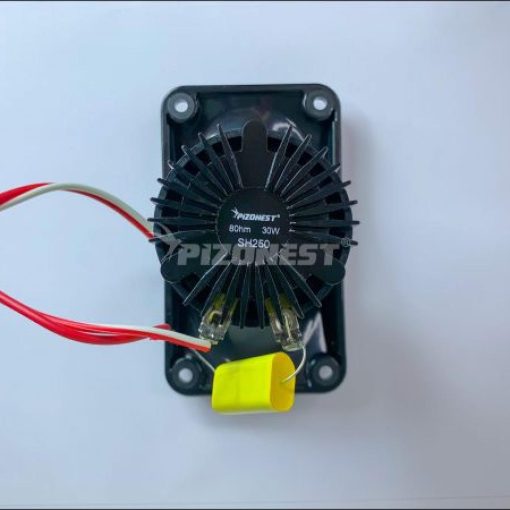 LOA SH250S PIZONEST - Hình ảnh 5