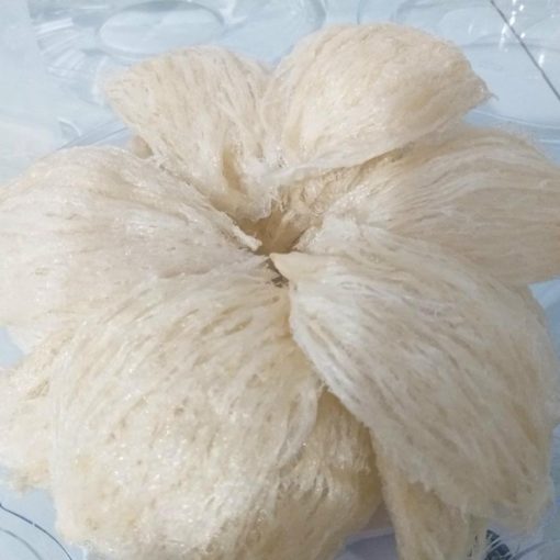 Yến rút lông VN - Hình ảnh 2